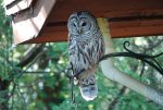 DSC01341.JPG