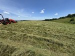 IMG_0678.jpeg