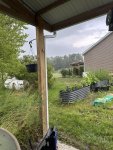IMG_4400.jpeg