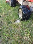 IMG_20250412_070943702.jpg