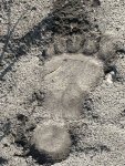 IMG_5147.JPG