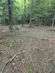 PXL_20250719_215955321.jpg PXL_20250719_215955321.jpg