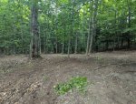 PXL_20250719_215945781.jpg PXL_20250719_215945781.jpg