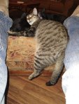 IMG_20241014_035507249.jpg