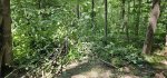 20250723_072058.jpg