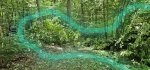 20250723_072644.jpg