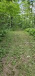 20250723_072707.jpg