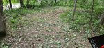 20250723_072731.jpg
