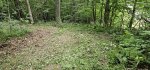 20250723_072754.jpg