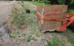 20250723_072908.jpg