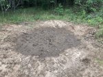 IMG_2081.jpeg