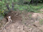 IMG_2086.jpeg