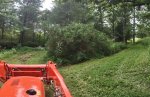 IMG_20250728_153254971.jpg