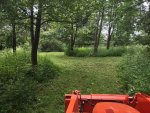 IMG_20250728_153208573.jpg