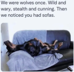1000025660.png