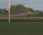 A48I4339.JPG