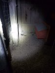 20250613_052038.jpg