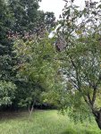 IMG_5892.jpeg