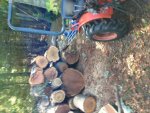 tractor and wood pile.jpg
