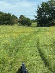IMG_3377.jpeg