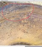 IMG_0494.jpeg