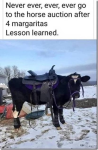 1756215392740.png
