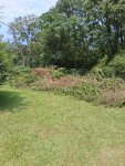 20250826_130838.jpg