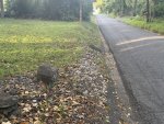 IMG_0122.jpeg IMG_0122.jpeg