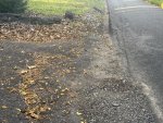 IMG_0123.jpeg IMG_0123.jpeg