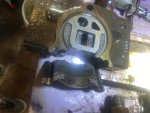 IMG_8507.jpeg
