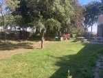 IMG_6848.jpeg