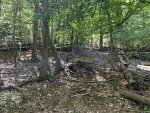 IMG_6408.jpeg