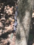 IMG_6419.jpeg