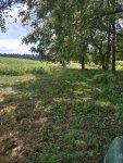 IMG_20250916_140210781_HDR.jpg