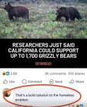 bears.png