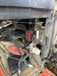 IMG_2999.jpeg