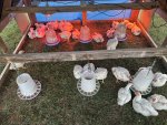 IMG_5913.jpeg