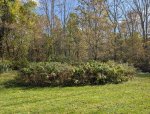 PXL_20250928_183824238.jpg