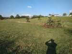 IMG_20251002_170823295.jpg