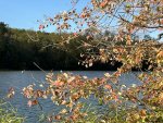 IMG_3846.jpeg