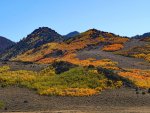 P1015509erorngtrctr10-12-25.jpg