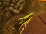 P1010490ertbn9-19-23.jpg