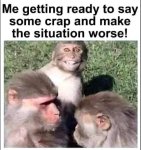 monkeys.JPG