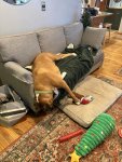 IMG_6528.jpeg