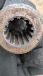 PXL_20260105_150450488.MACRO_FOCUS.jpg
