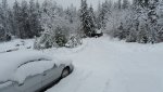 Dec snow.jpg