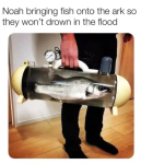 1779640547751.png