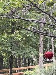 IMG_4848.jpeg