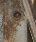 1780778456728.png 1780778456728.png