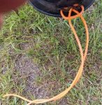 string.jpg